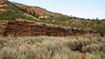 Photo 5 for 7500  Spring Canyon Rd