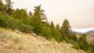 Photo 6 for 7500  Spring Canyon Rd