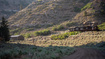 Photo 1 for 7500  Spring Canyon Rd