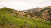 Photo 6 for 7500  Spring Canyon Rd