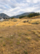 Photo 1 for 320 E East Ridgeview Dr