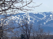 Photo 4 for 2604 S Forest Meadow Rd