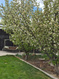 Photo 2 for 1697 W 2450 N