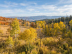 Photo 1 for 2412 S Bull Moose Dr