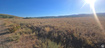 Photo 4 for 4000 Ant Flat Rd