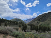 Photo 2 for 11607  Middle Fork Dr