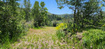 Photo 6 for 11607  Middle Fork Dr