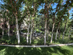 Photo 6 for 1095 E Mariwood Cir