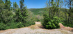 Photo 6 for 7347 Jim Bridger Dr