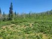 Photo 1 for 7434 N Rendezvous Rd