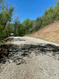 Photo 4 for 53 S Birch Creek Dr