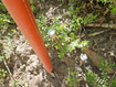 Photo 6 for 53 S Birch Creek Dr