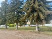 Photo 4 for 3150 S Mayfly Dr