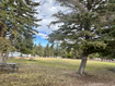 Photo 3 for 3150 S Mayfly Dr