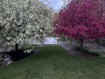 Photo 5 for 11176 S Midas Trail Rd
