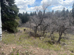 Photo 2 for 2211 Pine Loop Rd
