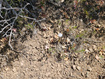 Photo 3 for 28 E Deer Valley Dr