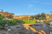 Photo 3 for 1040 E Canyon Rd