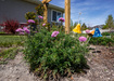 Photo 6 for 2315 E Dugway Dr