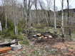 Photo 6 for 5762 Aspen Way