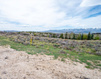 Photo 6 for 8654 Marmot Cir