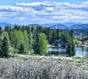 Photo 2 for 8654  Marmot Cir
