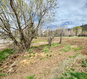 Photo 6 for 360 N 100 E