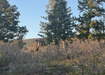 Photo 4 for 10573 E Spring Creek Dr