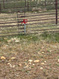 Photo 6 for Address Not Available