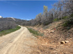 Photo 6 for 10 E Spring Mountain Dr