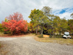 Photo 6 for 31  Juniper Dr #m31
