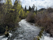Photo 1 for 1300 W Swan Creek Spring Rd