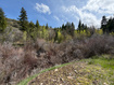Photo 5 for 1300 W Swan Creek Spring Rd