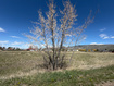 Photo 3 for 403 N 7th St