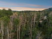 Photo 2 for 10749 E Green Briar Rd