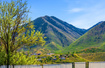 Photo 6 for 1649 S Spanish Ridge Dr
