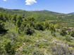 Photo 6 for 6532 E Chapparal Rd