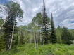 Photo 2 for 8550 N Uinta Dr