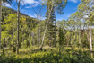 Photo 3 for 8550 N Uinta Dr