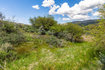 Photo 5 for 6325 N Elk Ridge Rd