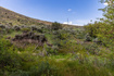 Photo 6 for 6325 N Elk Ridge Rd