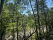 Photo 2 for 10337 N River Rd