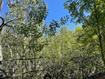 Photo 5 for 10337 N River Rd