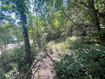 Photo 1 for 10337 N River Rd