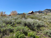 Photo 6 for 248 Canyon Ridge Way