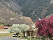 Photo 1 for 2212 E High Mesa Dr
