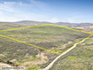 Photo 2 for 55  Browns Canyon
