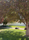 Photo 4 for 150 W 200 St