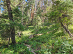 Photo 5 for 30 E Pine Creek Rd