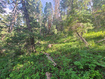 Photo 4 for 30 E Pine Creek Rd
